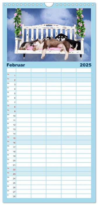 Süße Träume 2025 - schlafende Hundewelpen (CALVENDO Familienplaner 2025)