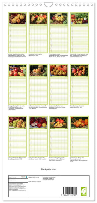 Alte Apfelsorten (CALVENDO Familienplaner 2025)