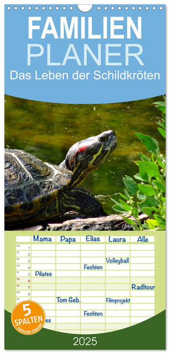 Das Leben der Schildkröten (CALVENDO Familienplaner 2025)