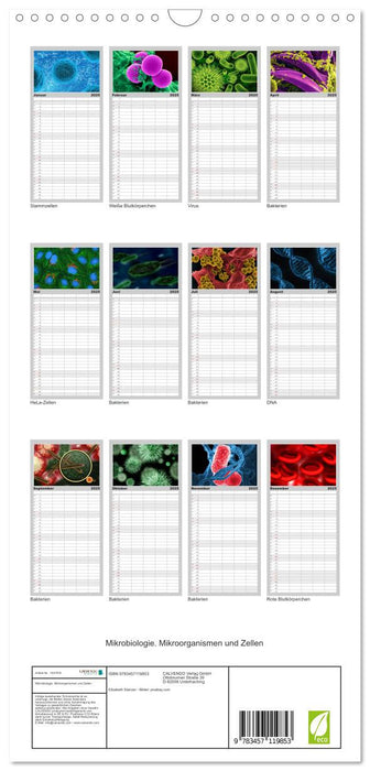 Mikrobiologie. Mikroorganismen und Zellen (CALVENDO Familienplaner 2025)
