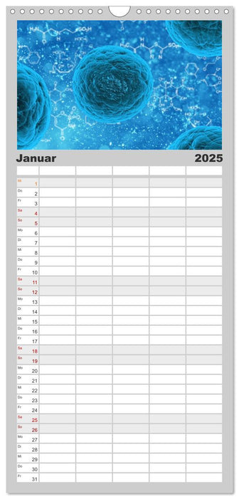 Mikrobiologie. Mikroorganismen und Zellen (CALVENDO Familienplaner 2025)