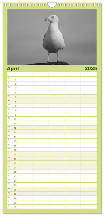 Willkommen in Cuxhaven (CALVENDO Familienplaner 2025)