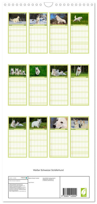 Weißer Schweizer Schäferhund (CALVENDO Familienplaner 2025)