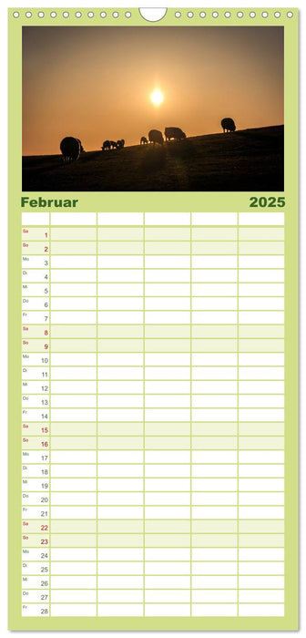 Tiere 2025 (CALVENDO Familienplaner 2025)