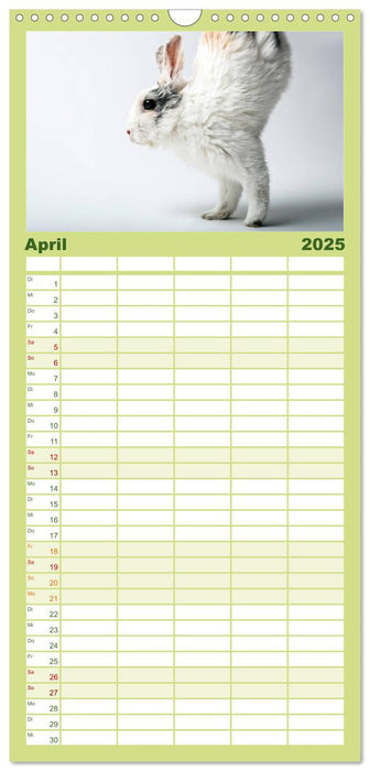 Tiere 2025 (CALVENDO Familienplaner 2025)