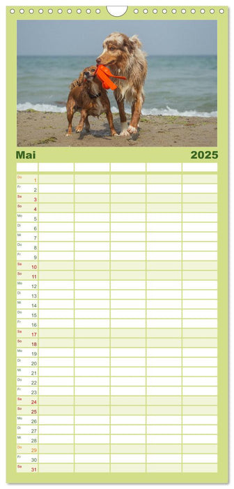 POWERHUNDE 2025 (CALVENDO Familienplaner 2025)