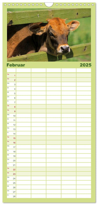 Rinder auf dem Lande (CALVENDO Familienplaner 2025)