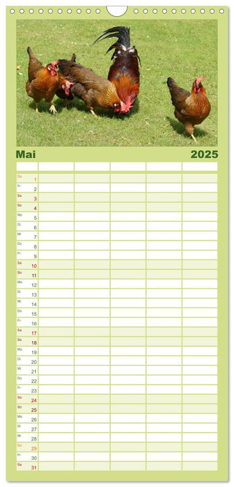Kunterbunte Hühnerschar (CALVENDO Familienplaner 2025)