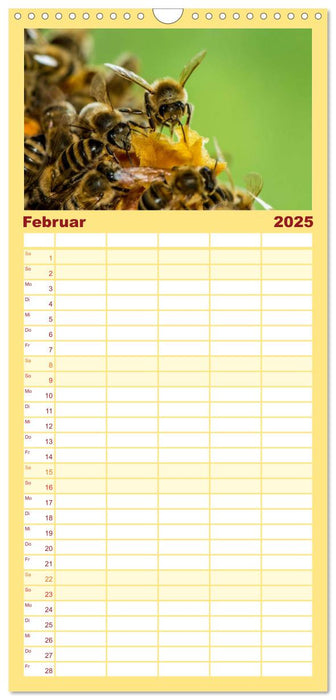 Bienenkalender (CALVENDO Familienplaner 2025)