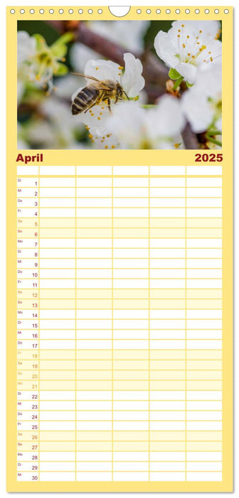 Bienenkalender (CALVENDO Familienplaner 2025)
