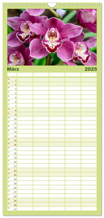 Wunderbare Orchideen (CALVENDO Familienplaner 2025)