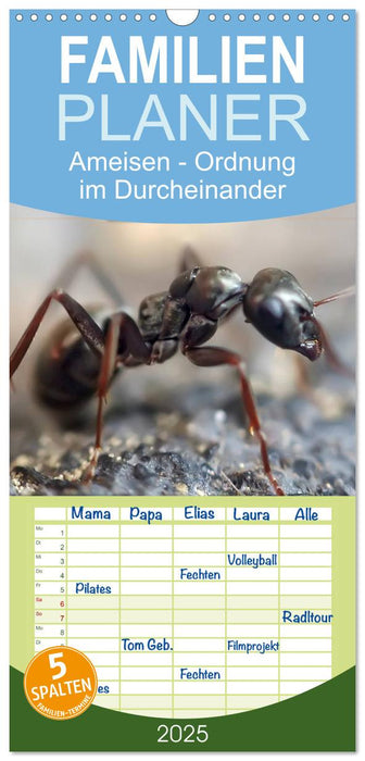 Ameisen - Ordnung im Durcheinander (CALVENDO Familienplaner 2025)