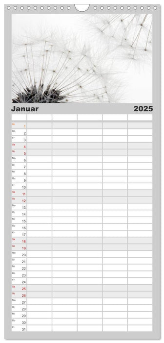 Filigrane Pusteblumen / Geburtstagskalender (CALVENDO Familienplaner 2025)