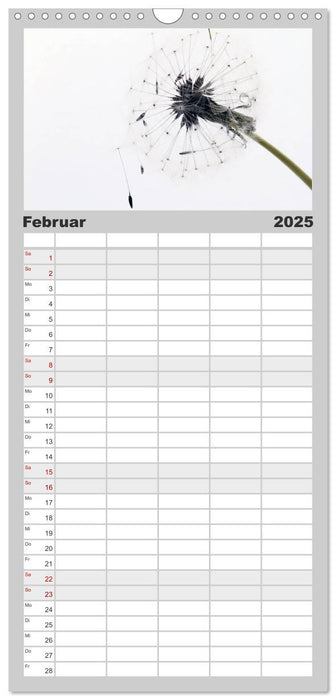 Filigrane Pusteblumen / Geburtstagskalender (CALVENDO Familienplaner 2025)