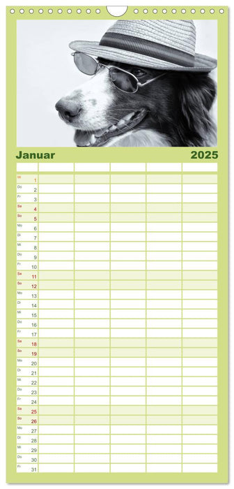 Hütehunde (CALVENDO Familienplaner 2025)