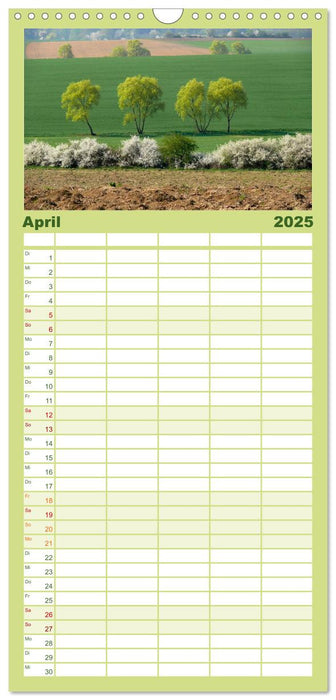 Wald und Baum 2025 (CALVENDO Familienplaner 2025)