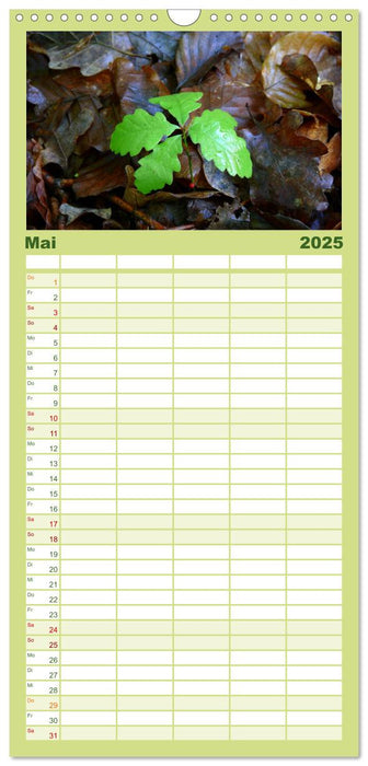 Wald und Baum 2025 (CALVENDO Familienplaner 2025)