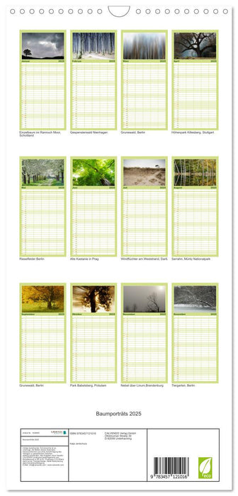 Baumporträts 2025 (CALVENDO Familienplaner 2025)