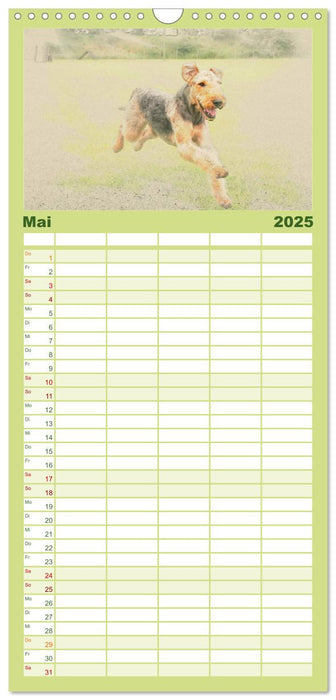 Airedale Terrier 2025 (CALVENDO Familienplaner 2025)