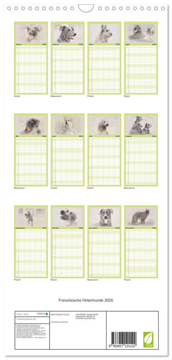 Französische Hirtenhunde 2025 (CALVENDO Familienplaner 2025)