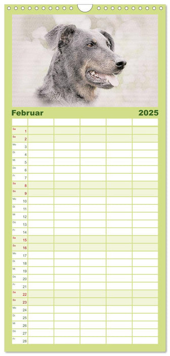 Französische Hirtenhunde 2025 (CALVENDO Familienplaner 2025)