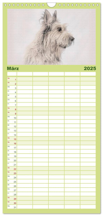 Französische Hirtenhunde 2025 (CALVENDO Familienplaner 2025)