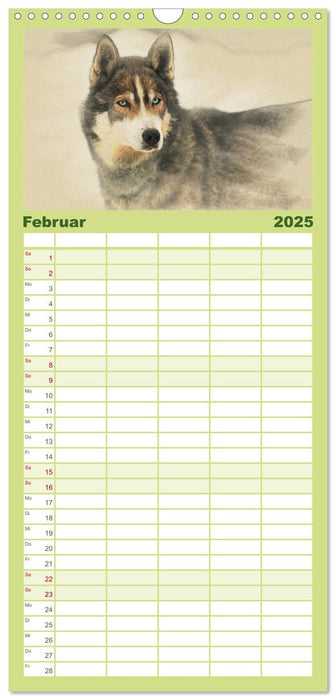 Schlittenhunde 2025 (CALVENDO Familienplaner 2025)