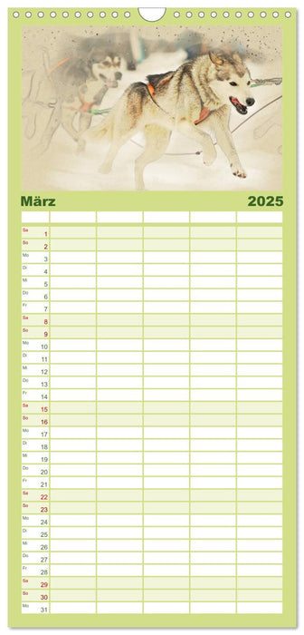 Schlittenhunde 2025 (CALVENDO Familienplaner 2025)