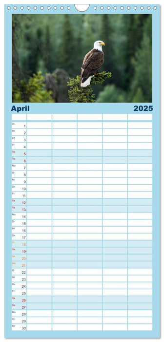 Der Alaska Kalender (CALVENDO Familienplaner 2025)