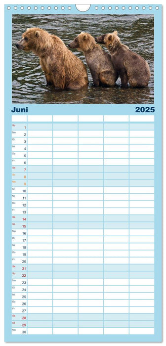 Der Alaska Kalender (CALVENDO Familienplaner 2025)