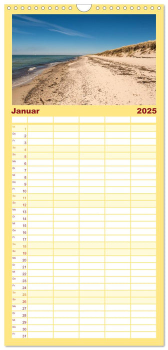 Der Darß Kalender (CALVENDO Familienplaner 2025)