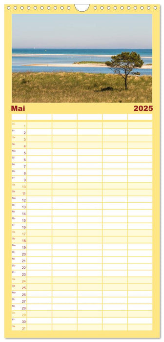 Der Darß Kalender (CALVENDO Familienplaner 2025)