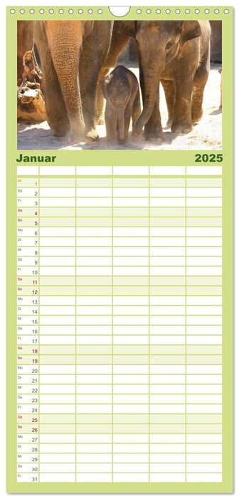 Wildlife II / 2025 (CALVENDO Familienplaner 2025)