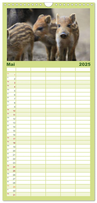 Wildlife II / 2025 (CALVENDO Familienplaner 2025)