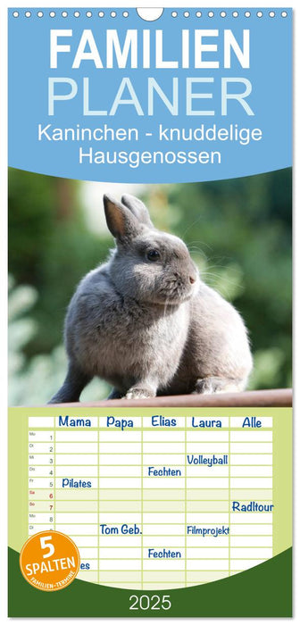 Kaninchen - knuddelige Hausgenossen (CALVENDO Familienplaner 2025)