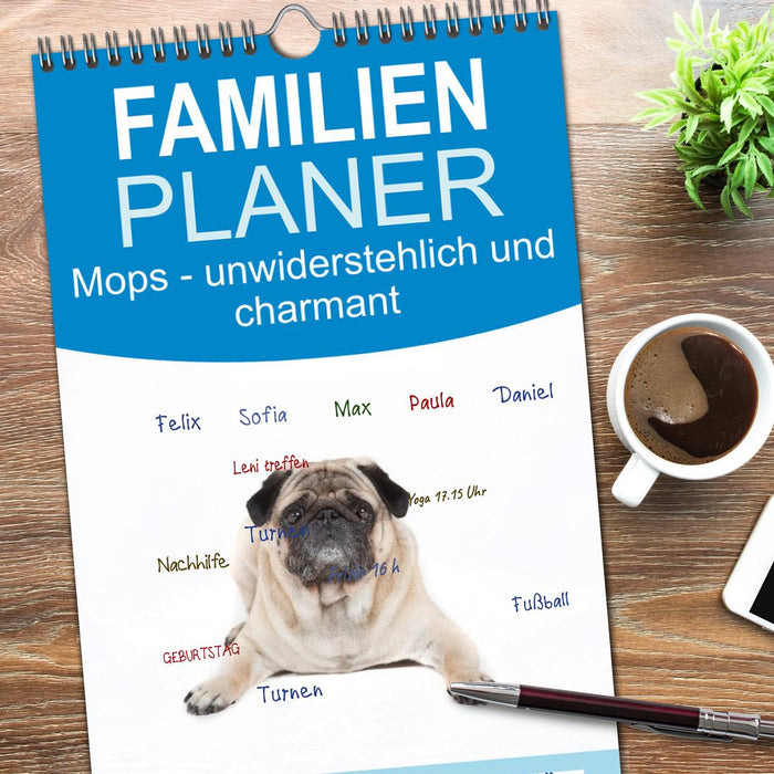 Mops - unwiderstehlich und charmant (CALVENDO Familienplaner 2025)