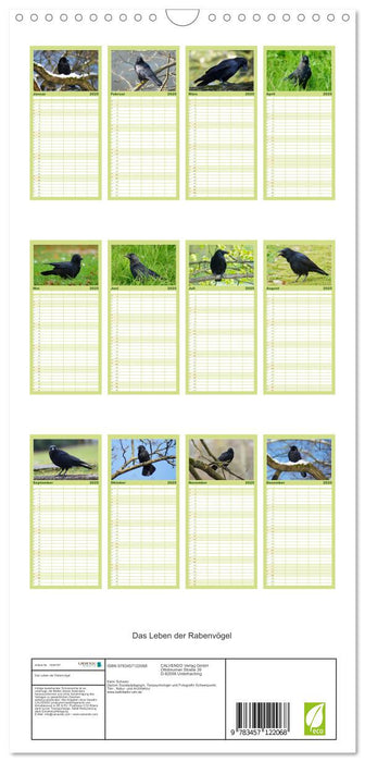 Das Leben der Rabenvögel (CALVENDO Familienplaner 2025)