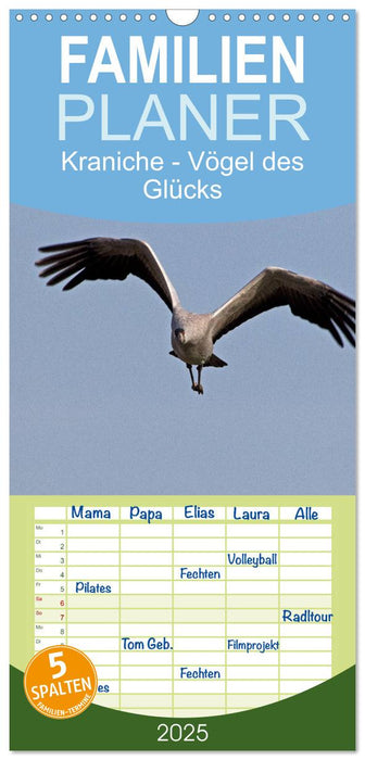 Kraniche - Vögel des Glücks (CALVENDO Familienplaner 2025)