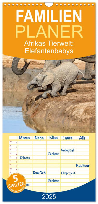 Afrikas Tierwelt: Elefantenbabys (CALVENDO Familienplaner 2025)