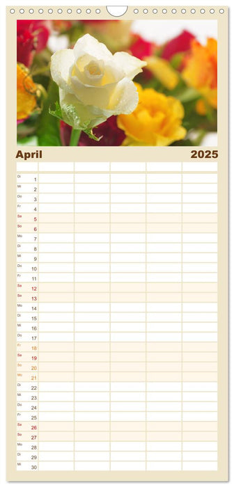 Rosen Blüten Terminkalender (CALVENDO Familienplaner 2025)
