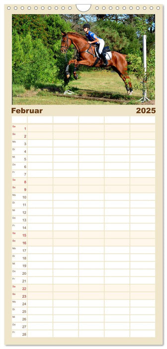 Mein Reitsport Kalender (CALVENDO Familienplaner 2025)