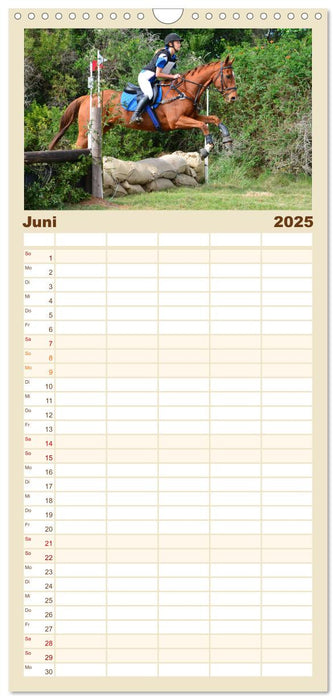 Mein Reitsport Kalender (CALVENDO Familienplaner 2025)