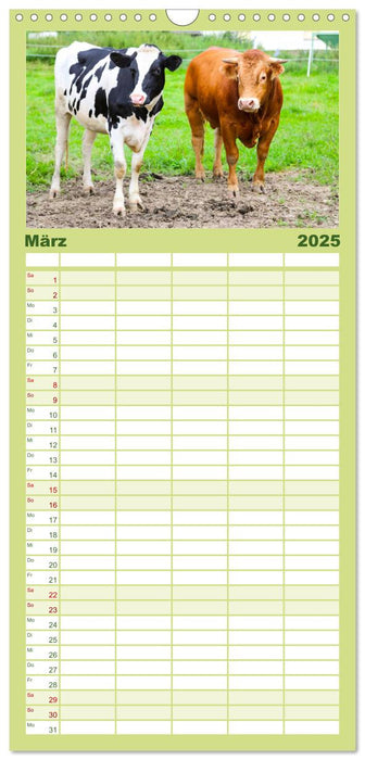 Sanfte Holsteiner (CALVENDO Familienplaner 2025)