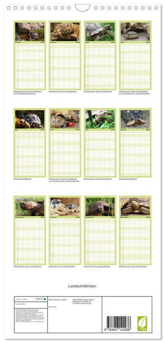Landschildkröten (CALVENDO Familienplaner 2025)