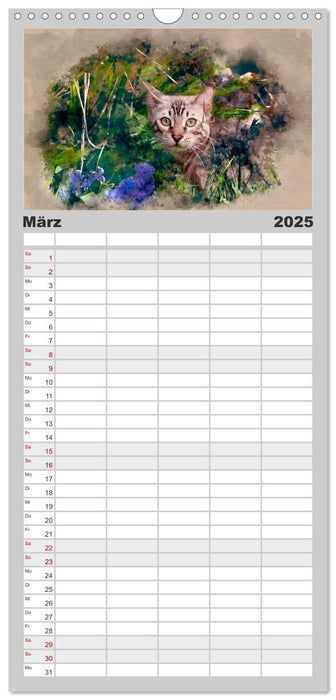 Katzenkalender mausgemalt (CALVENDO Familienplaner 2025)