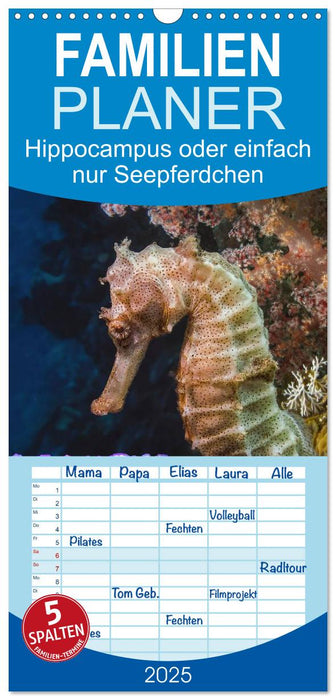 Hippocampus oder einfach nur Seepferdchen (CALVENDO Familienplaner 2025)
