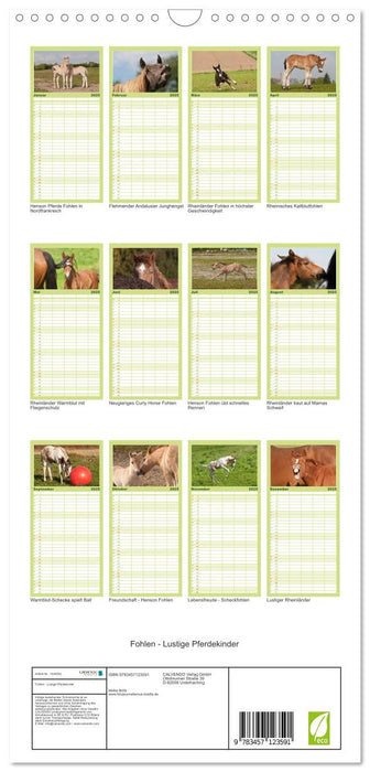 Fohlen - Lustige Pferdekinder (CALVENDO Familienplaner 2025)
