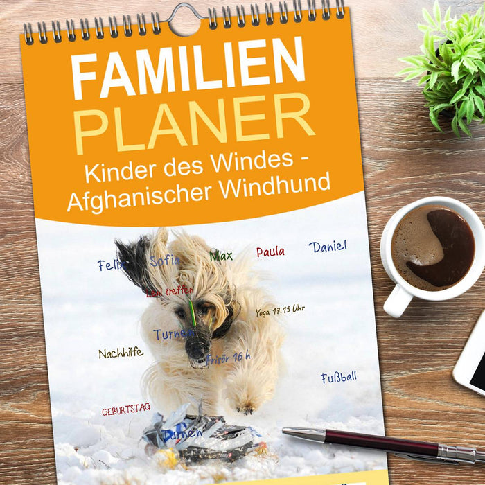 Kinder des Windes - Afghanischer Windhund (CALVENDO Familienplaner 2025)