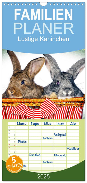 Lustige Kaninchen (CALVENDO Familienplaner 2025)