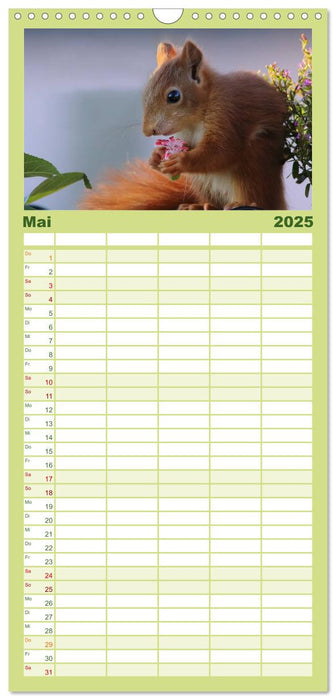 Eichhörnchen Kinder (CALVENDO Familienplaner 2025)